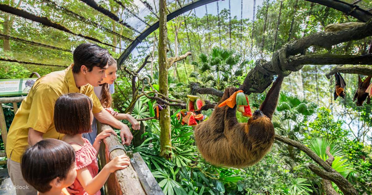 Singapore Zoo, a zoo near the park