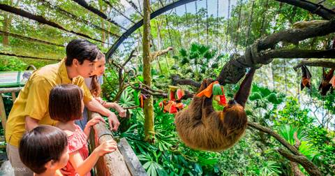Singapore Zoo — Zoo near Universal Studios Singapore