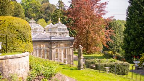 Alton Towers Gardens — Nature near Alton Towers