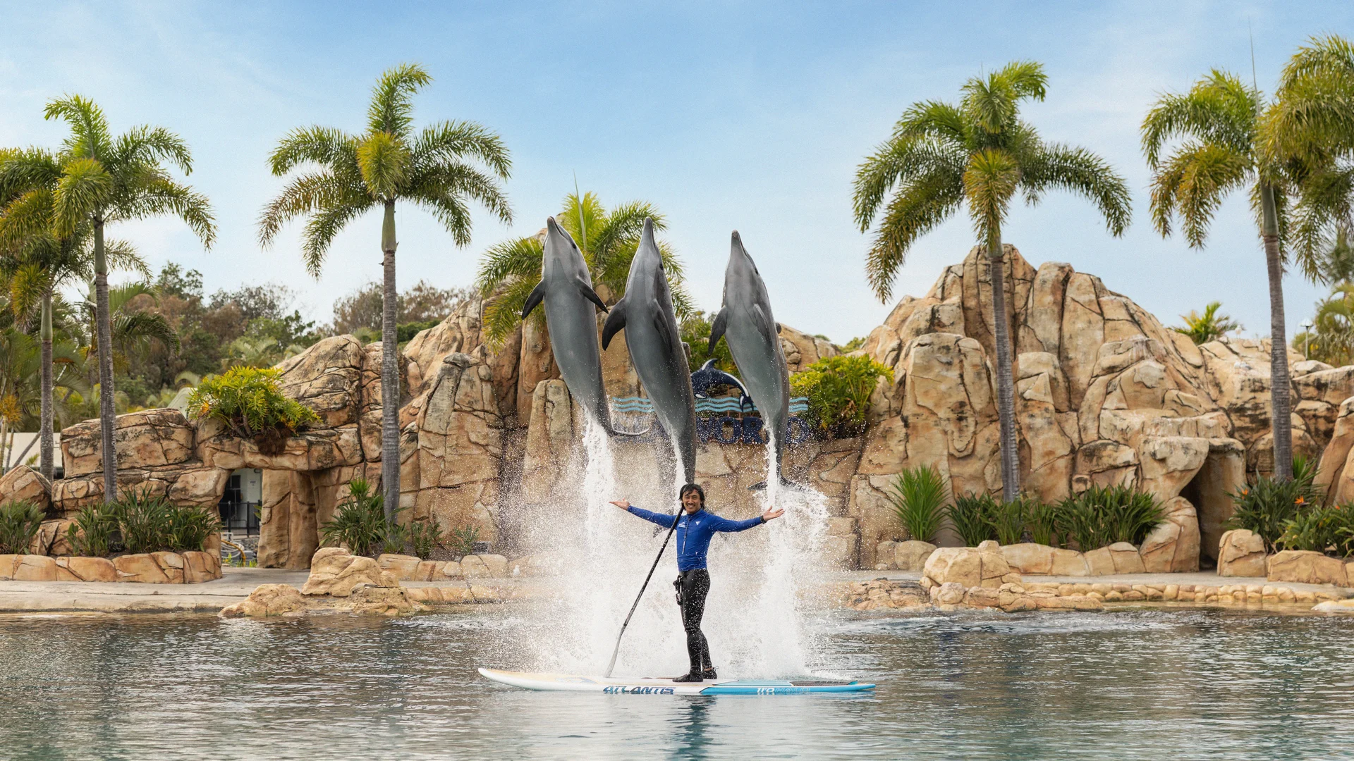Sea World Gold Coast, a aquarium near the park