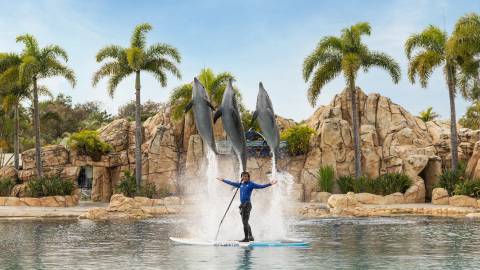 Sea World Gold Coast — Aquarium near Warner Bros. Movie World