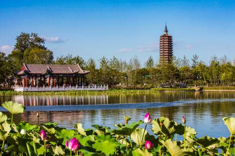 Grand Canal Forest Park — Nature near Universal Studios Beijing