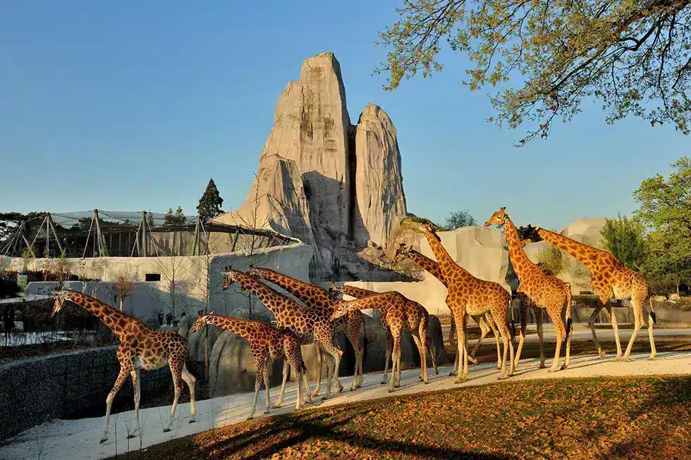 Parc Zoologique de Paris, a zoo near the park