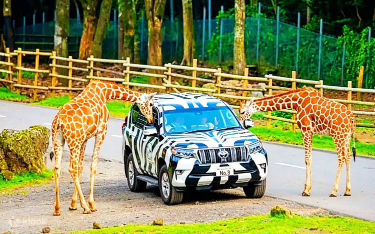 Kawaguchiko Zoo (Fuji Safari sister), a zoo near the park
