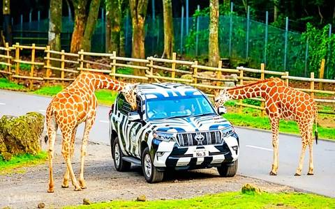 Kawaguchiko Zoo (Fuji Safari sister) — Zoo near Fuji-Q Highland