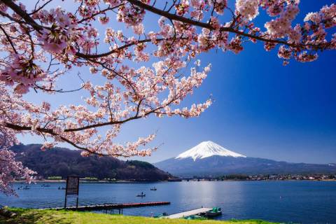 Lake Kawaguchi — Nature near Fuji-Q Highland