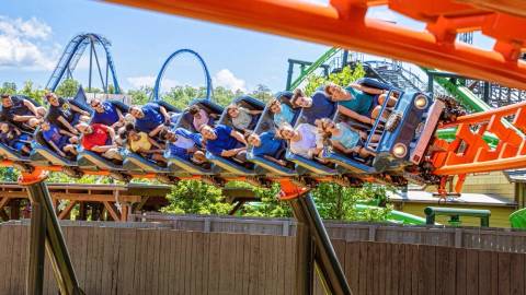 Riders on the Big Bear Mountain Roller Coaster — Dollywood in Pigeon Forge