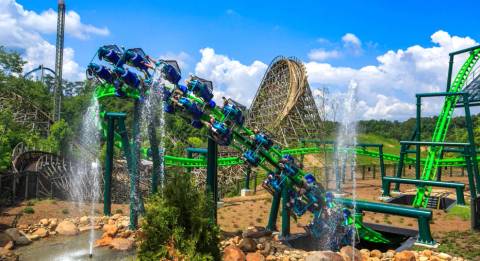Dragonflier Suspended Coaster in Wildwood Grove — Dollywood in Pigeon Forge