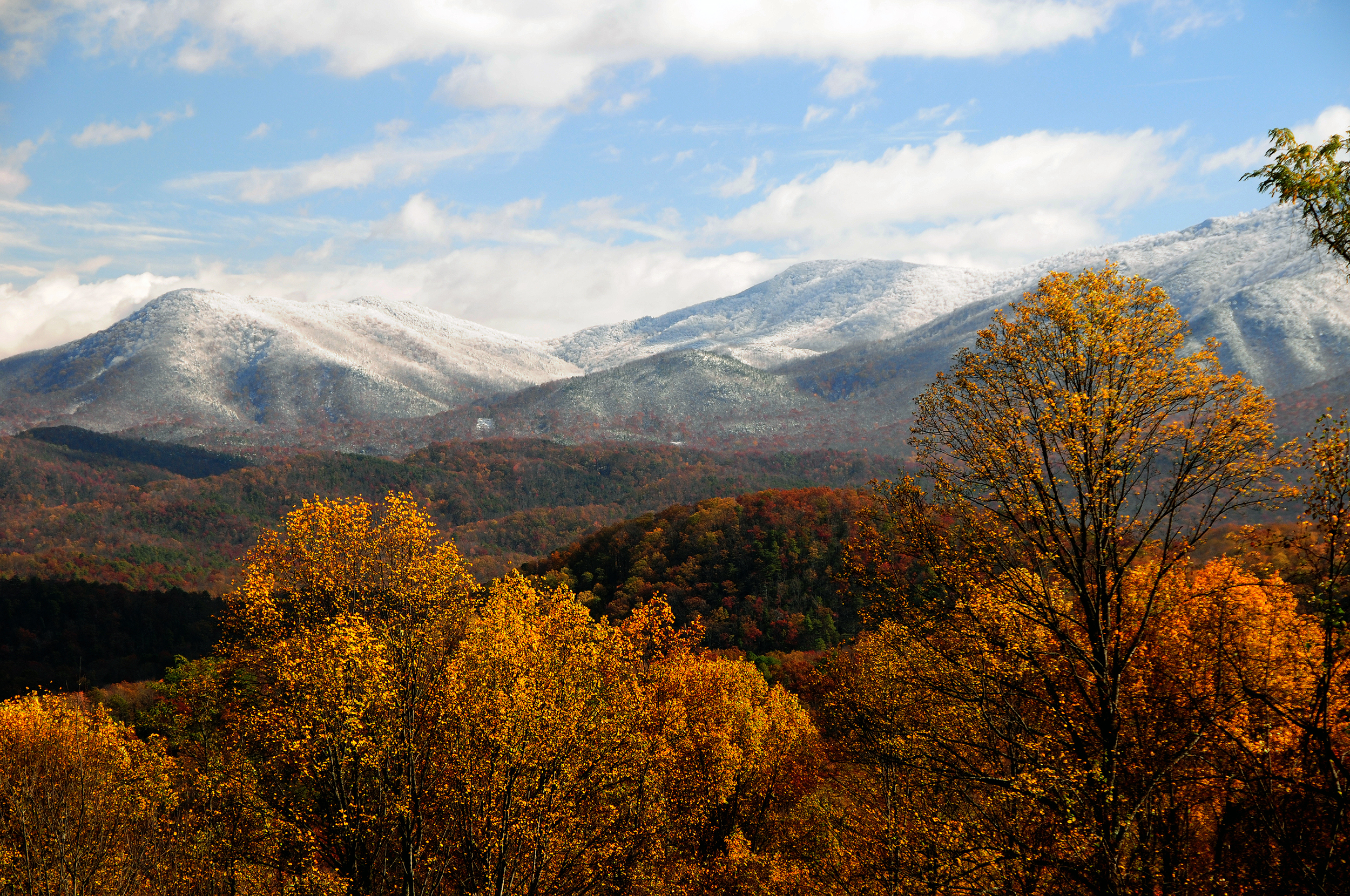 Great Smoky Mountains National Park, a nature near the park