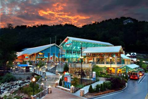 Ripley's Aquarium of the Smokies — Aquarium near Dollywood