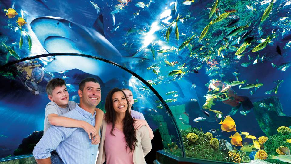 Atlantis by Sea Life at Legoland Billund Resort
