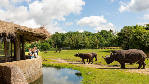 Givskud Zoo — Zoo near Legoland Billund Resort