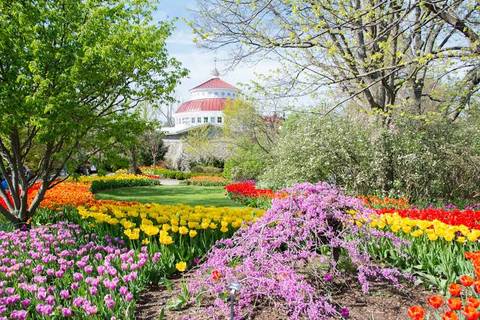 Cincinnati Zoo & Botanical Garden — Zoo near Kings Island