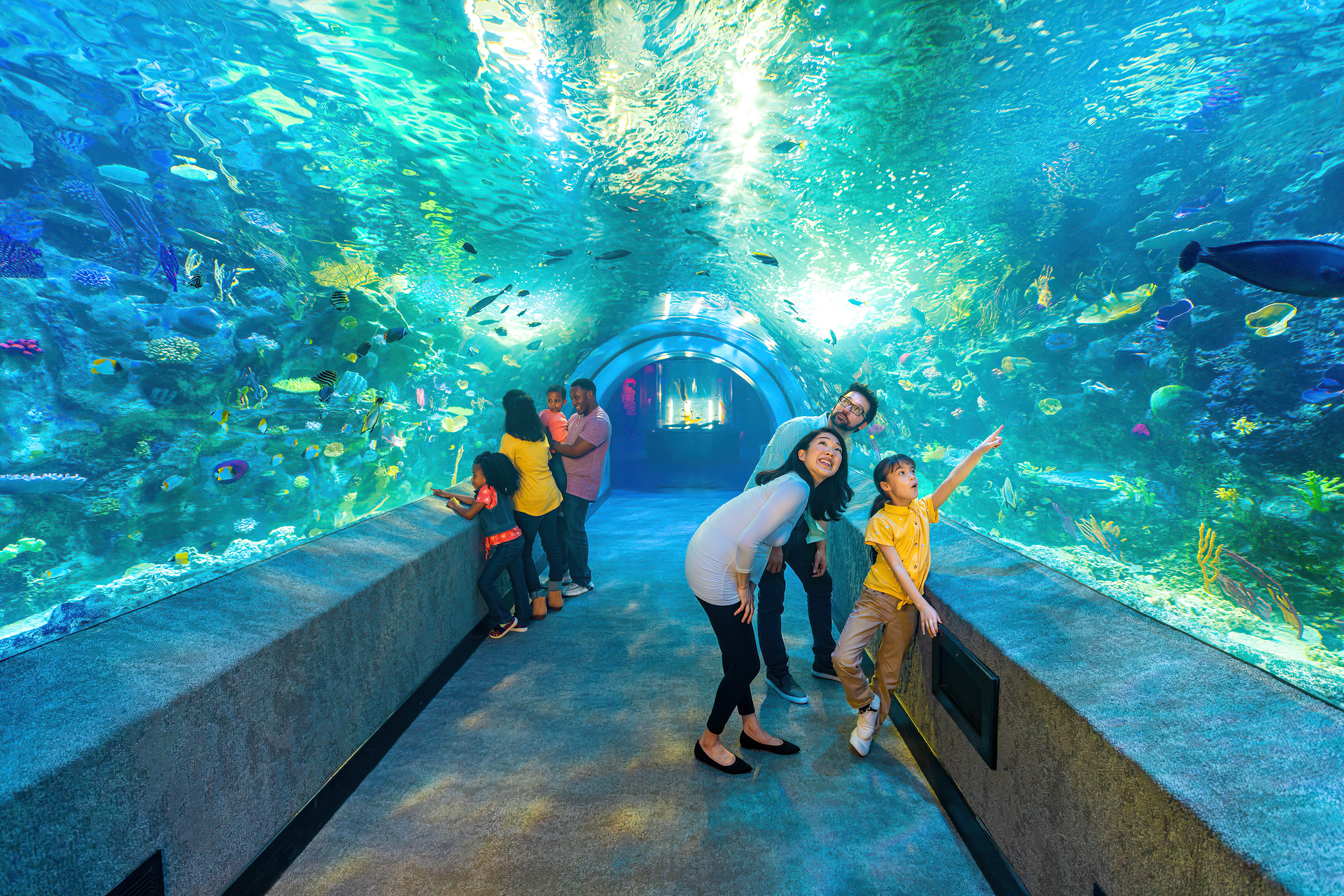 Newport Aquarium, a aquarium near the park