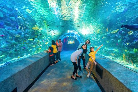 Newport Aquarium — Aquarium near Kings Island