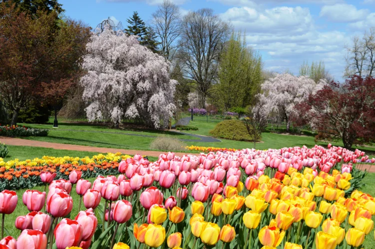 Hershey Gardens, a nature near the park