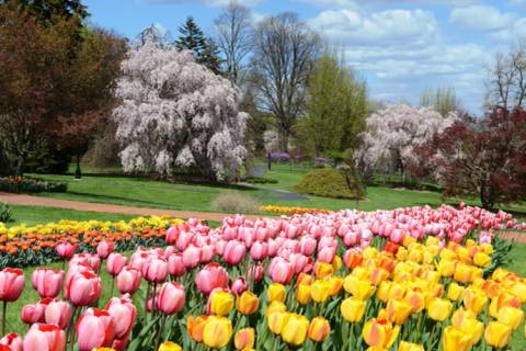 Hershey Gardens — Nature near Hersheypark
