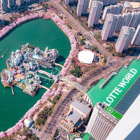 Aerial View of Magic Island and Cherry Blossoms — Lotte World in Seoul