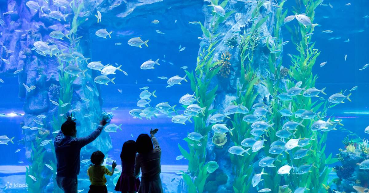 Lotte World Aquarium, a aquarium near the park