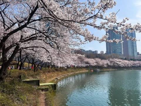 Seokchon Lake Park — Nature near Lotte World