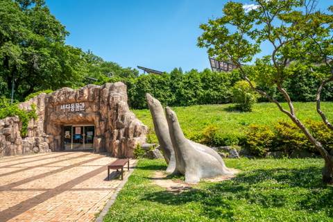 Seoul Grand Park Zoo — Zoo near Lotte World