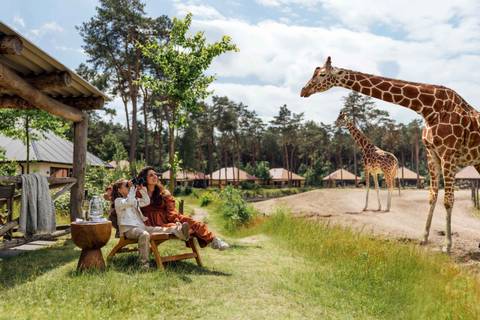 Safaripark Beekse Bergen — Zoo near Efteling