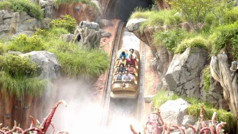 Log Flume Plunge on Splash Mountain — Tokyo Disneyland in Urayasu, Chiba