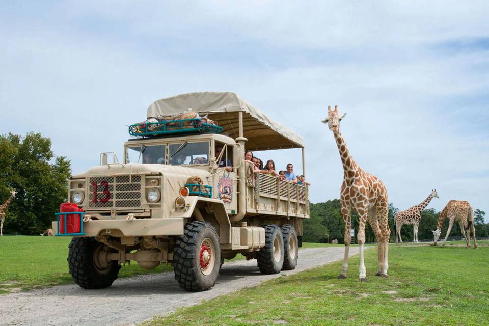 Safari Off-Road Adventure at Six Flags Great Adventure