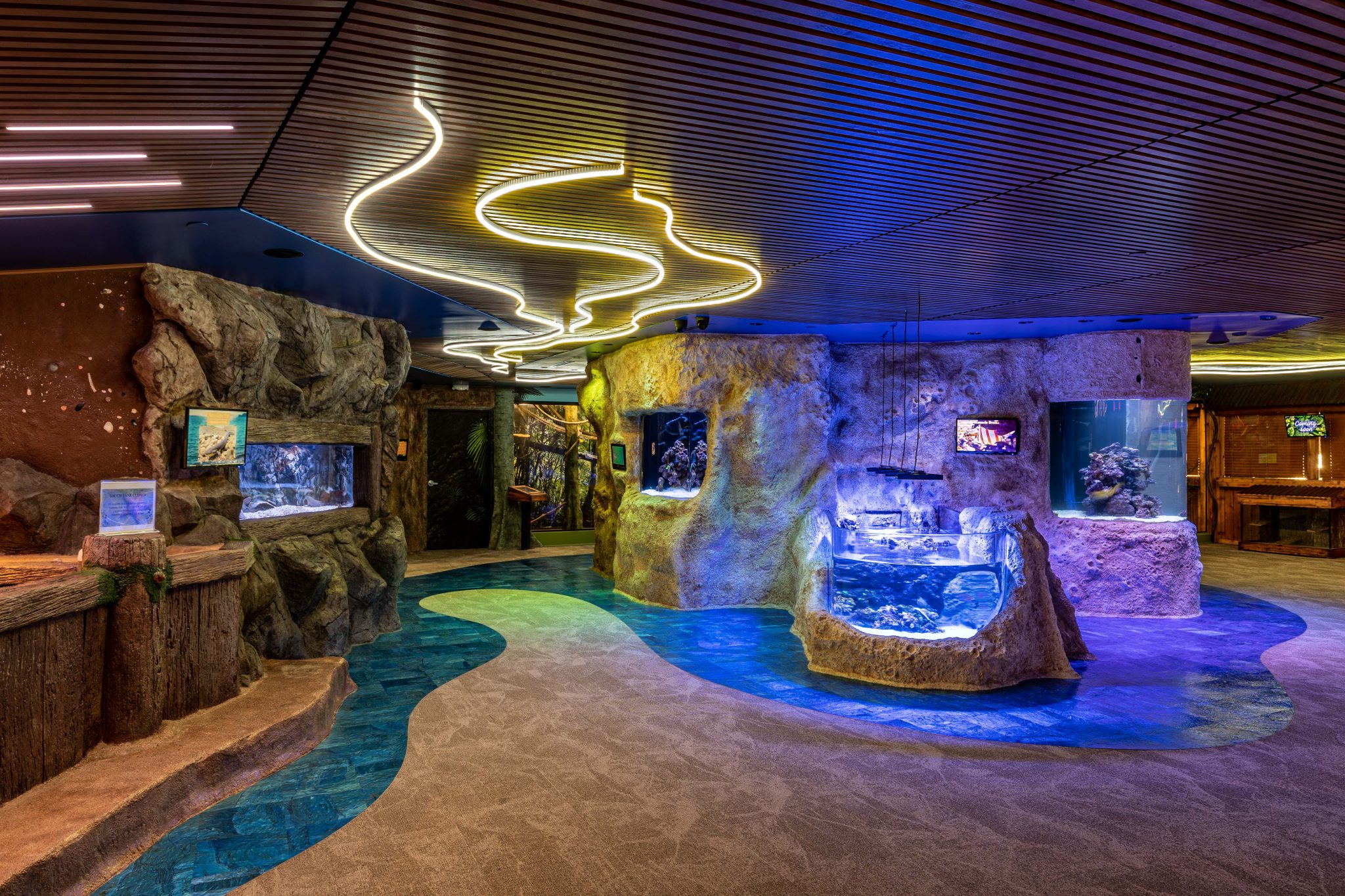 Jenkinson's Aquarium, a aquarium near the park