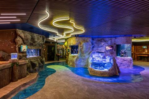 Jenkinson's Aquarium — Aquarium near Six Flags Great Adventure