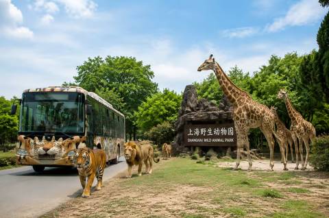 Shanghai Wild Animal Park — Zoo near Shanghai Disneyland
