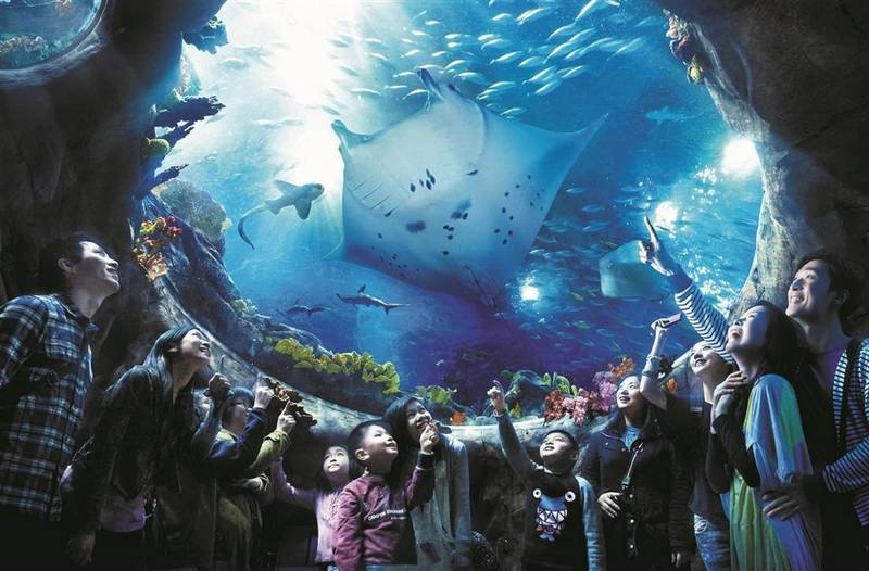 Grand Aquarium at Ocean Park Hong Kong