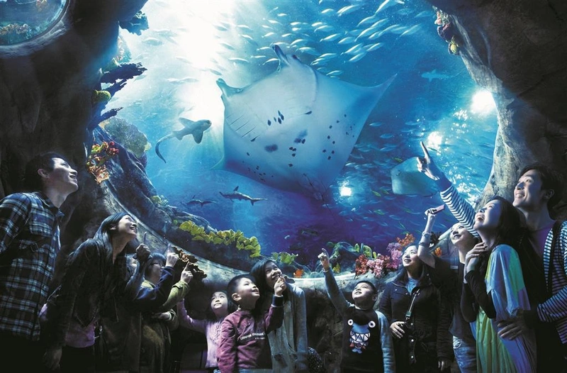 Ocean Park Grand Aquarium, a aquarium near the park